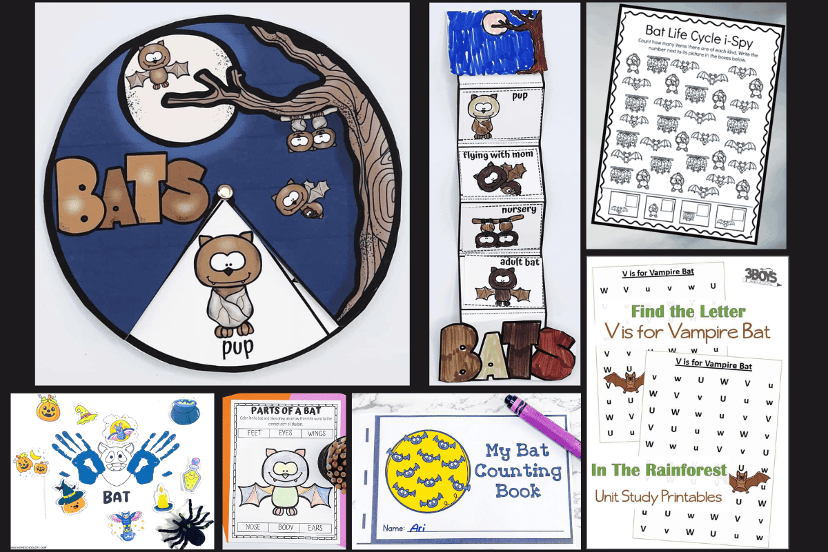 Free Printable Bat Worksheets