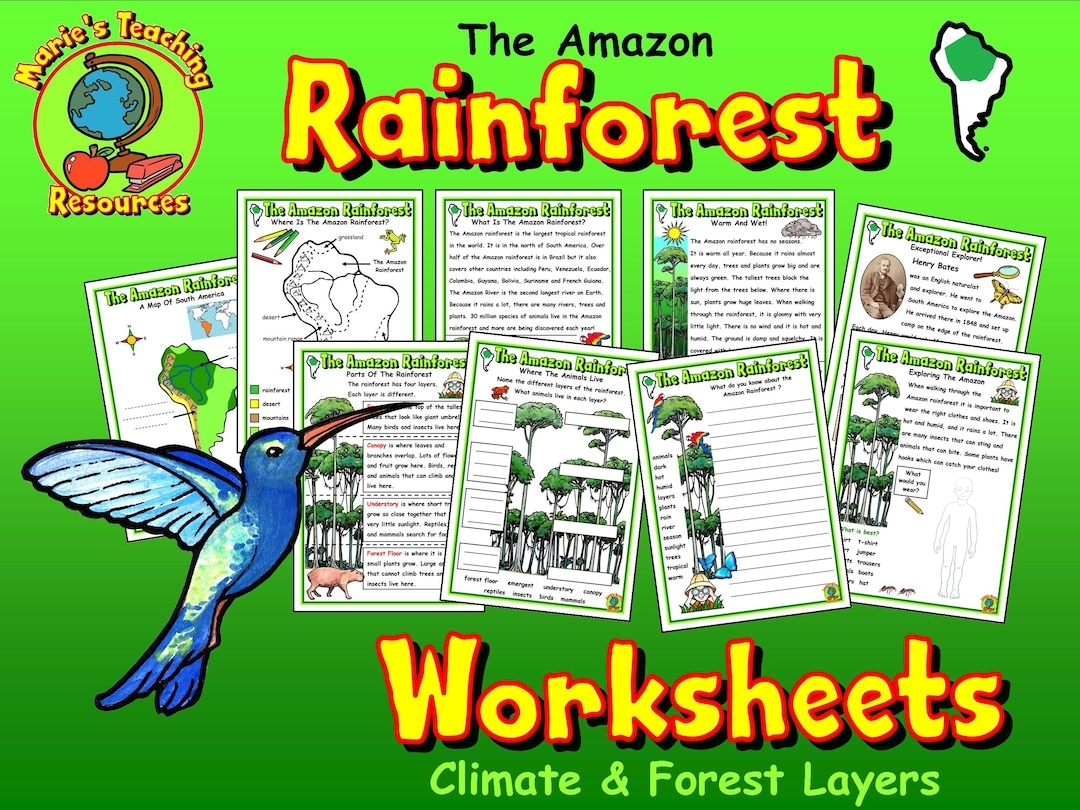 Free Printable Rainforest Worksheets