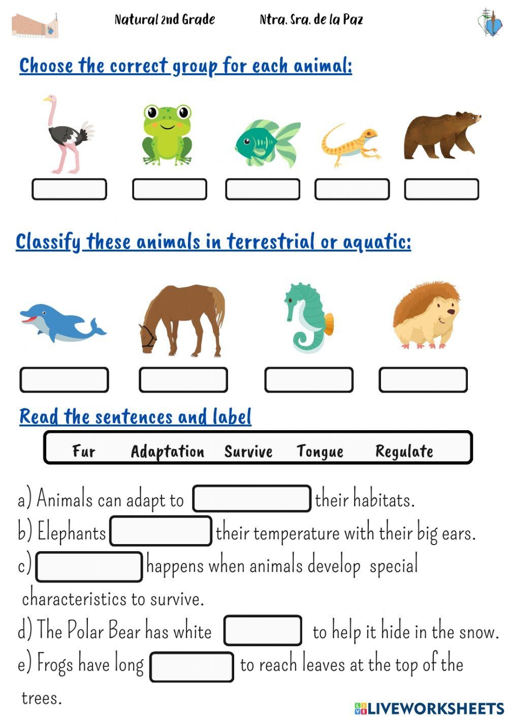 Animal Habitats Interactive Activity For 2 Live Worksheets Worksheets Library