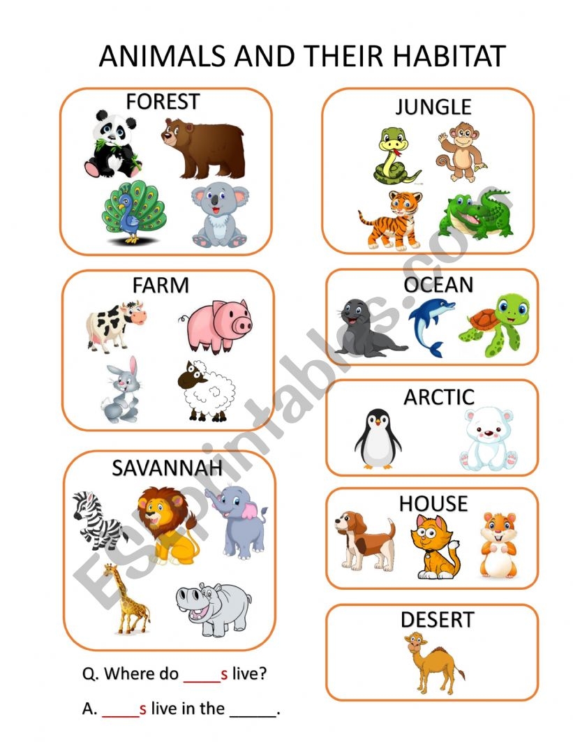 Printable Animal Habitats Worksheets