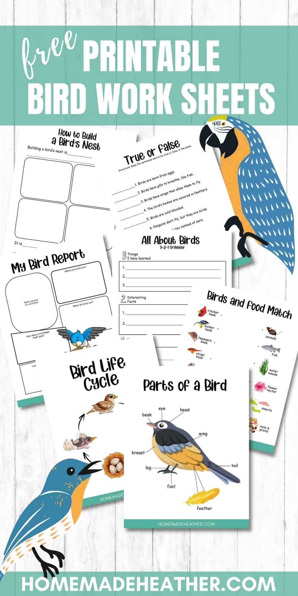 Bird Printable Work Sheets For Elementary School Homemade Heather