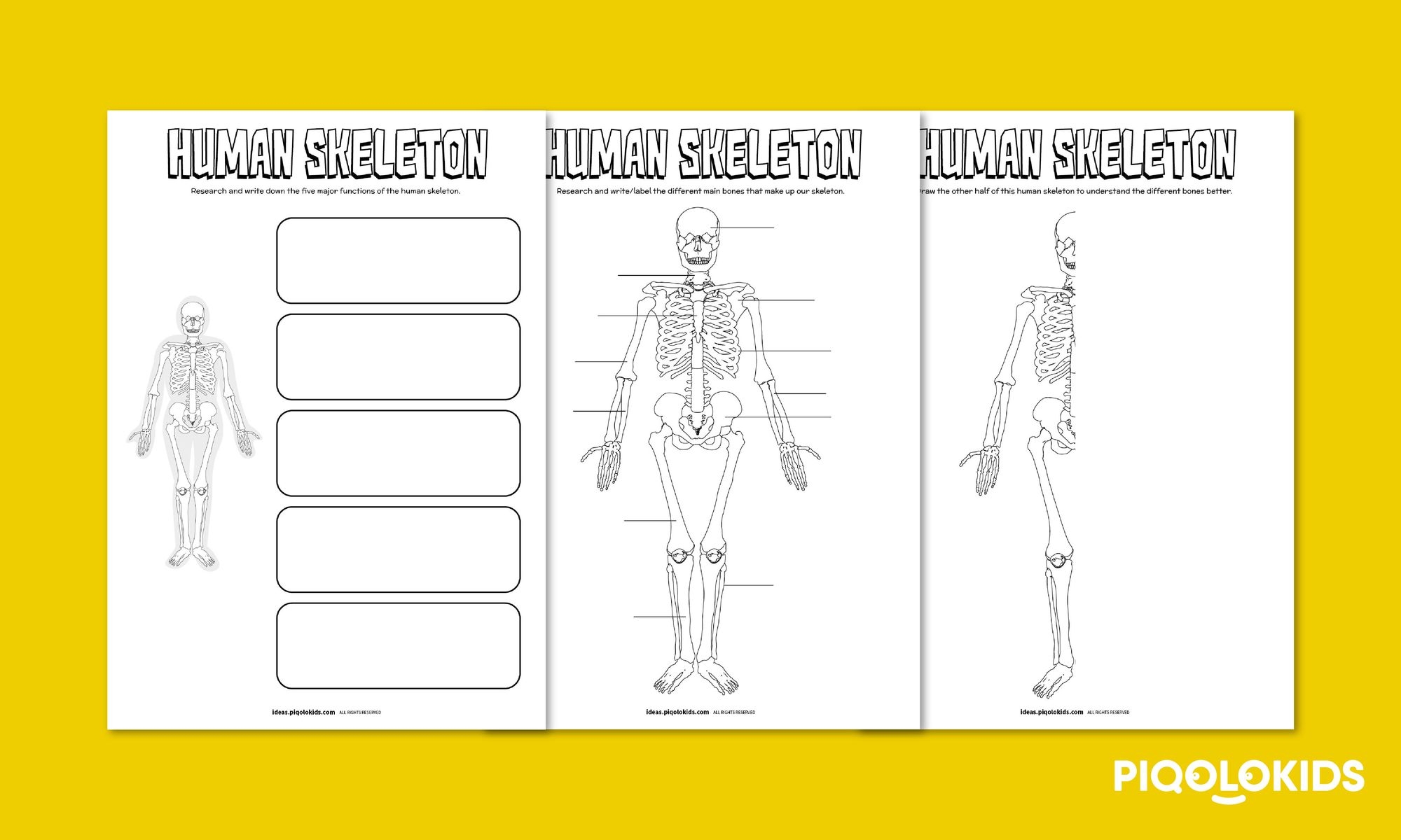 Draw Human Skeletons Creative Printable Worksheets For Kids