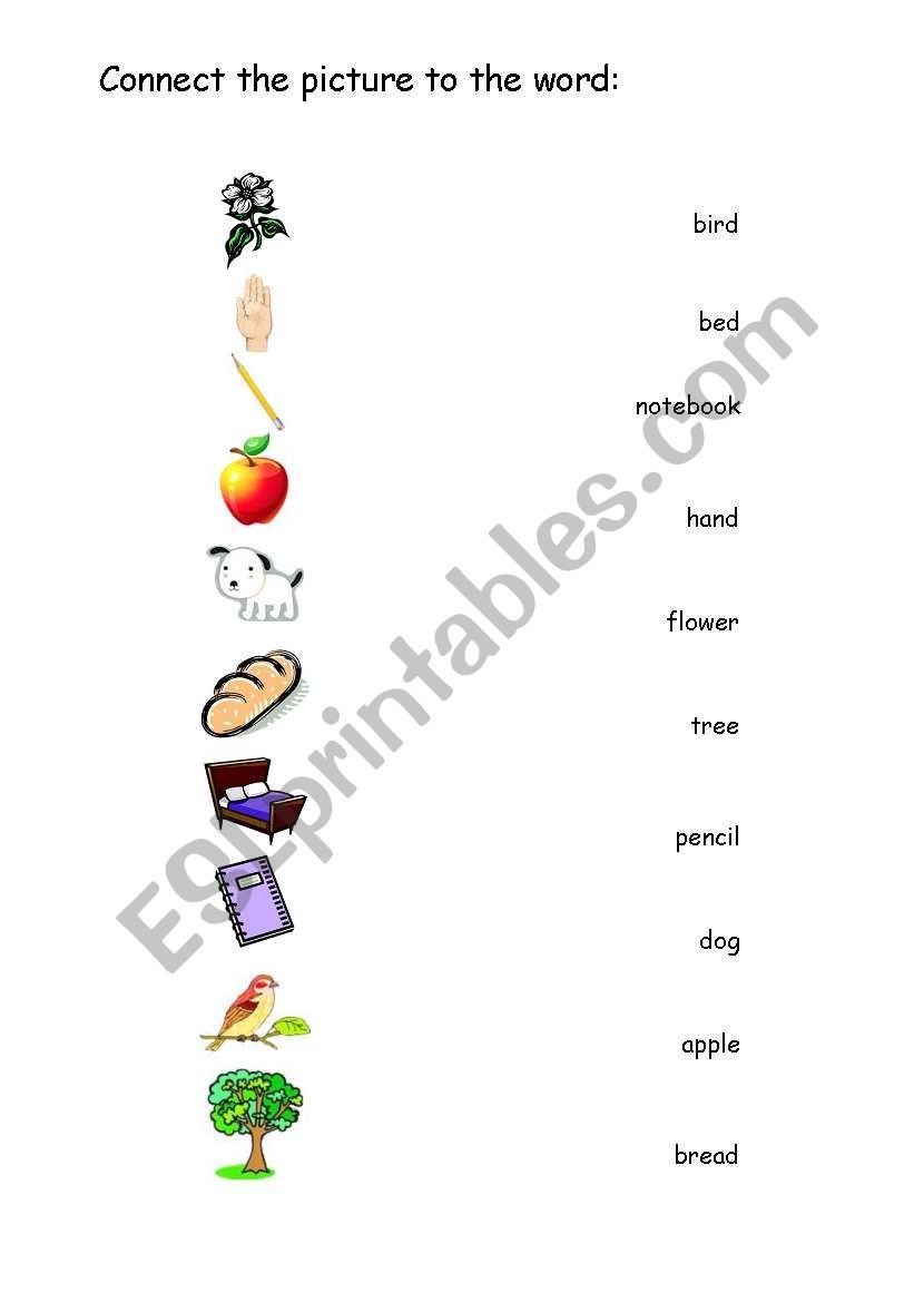 English Worksheets Elementary Test Worksheet For Beginners And Special Needs Students