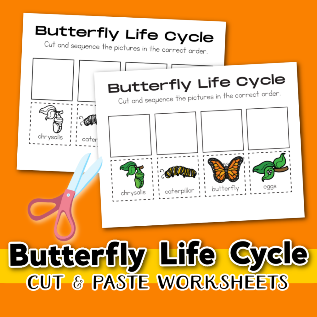 Free Printable Life Cycle Of A Butterfly Worksheet