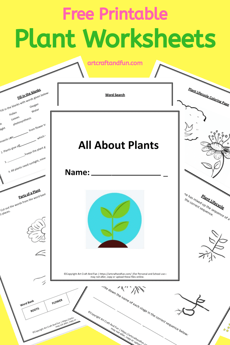 Free Printable Plant Worksheets For Kindergarten