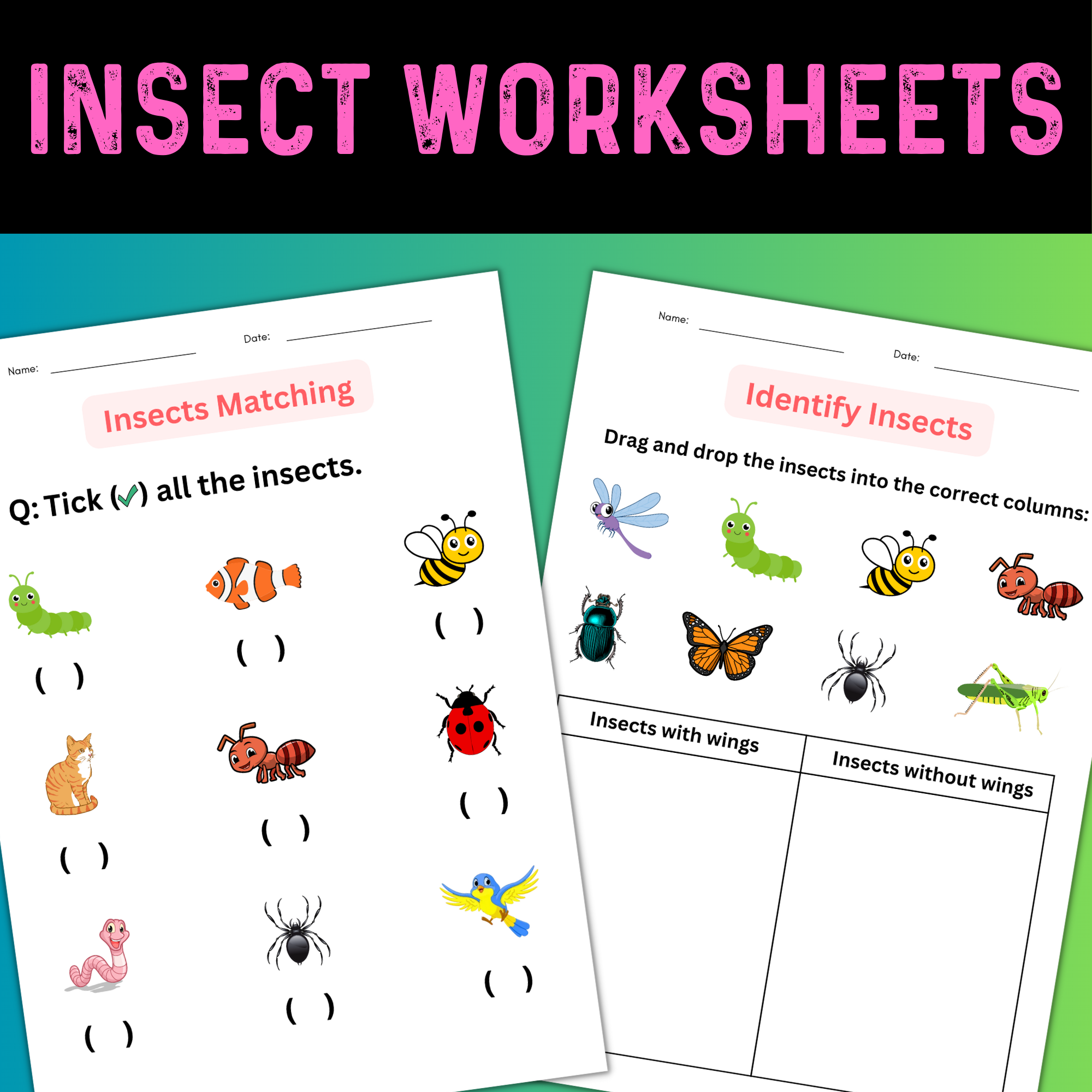 Printable Insect Worksheets For Preschool