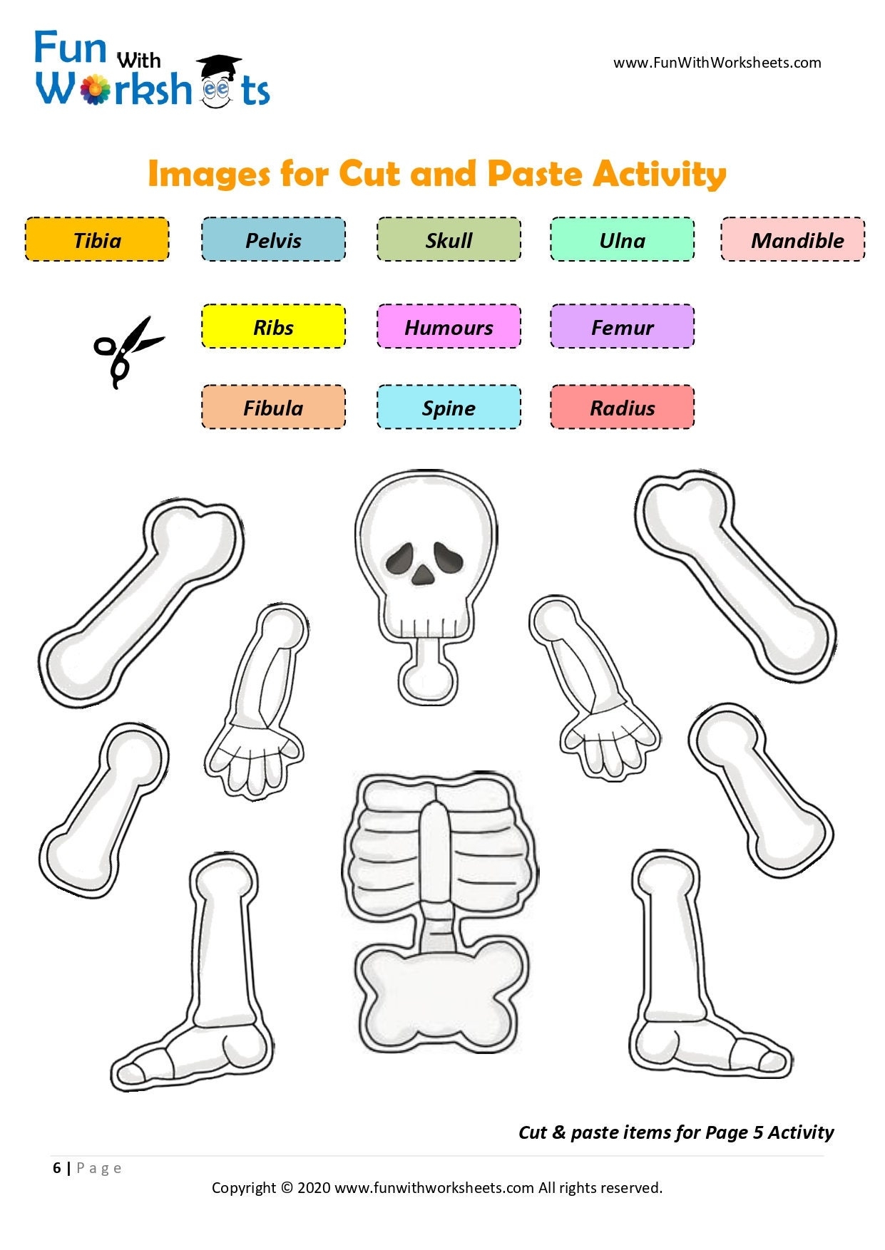 Skeleton Anatomy Activity Printable Human Bones Lesson Moving Skeleton Craft Anatomy Game Homeschool Printable Human Science Study Etsy Canada