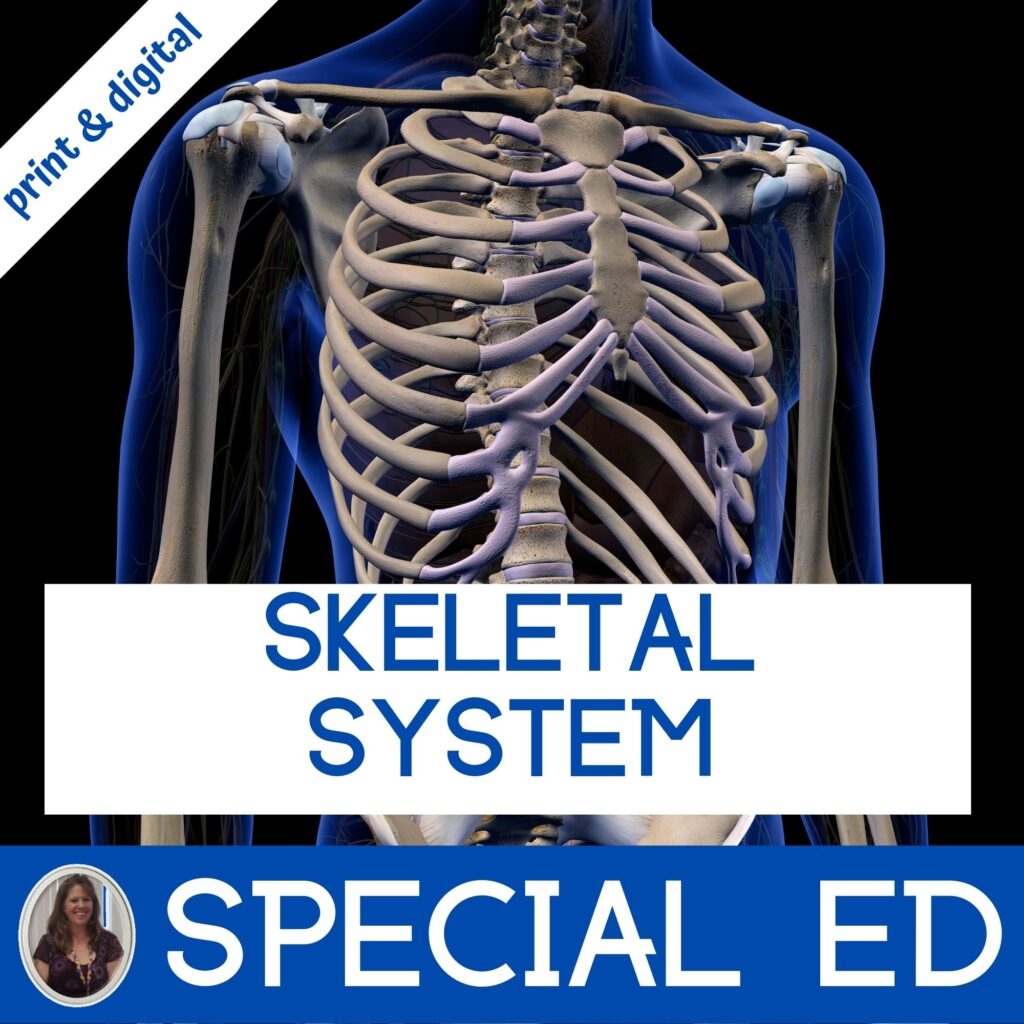 Printable Skeleton Labeling Worksheet