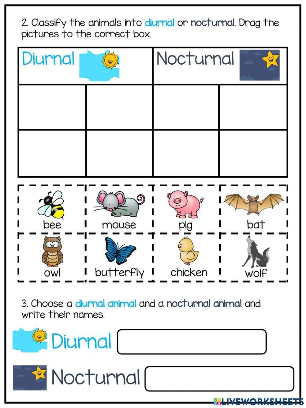 Day And Night Diurnal And Nocturnal Animals Worksheet Live Worksheets Library