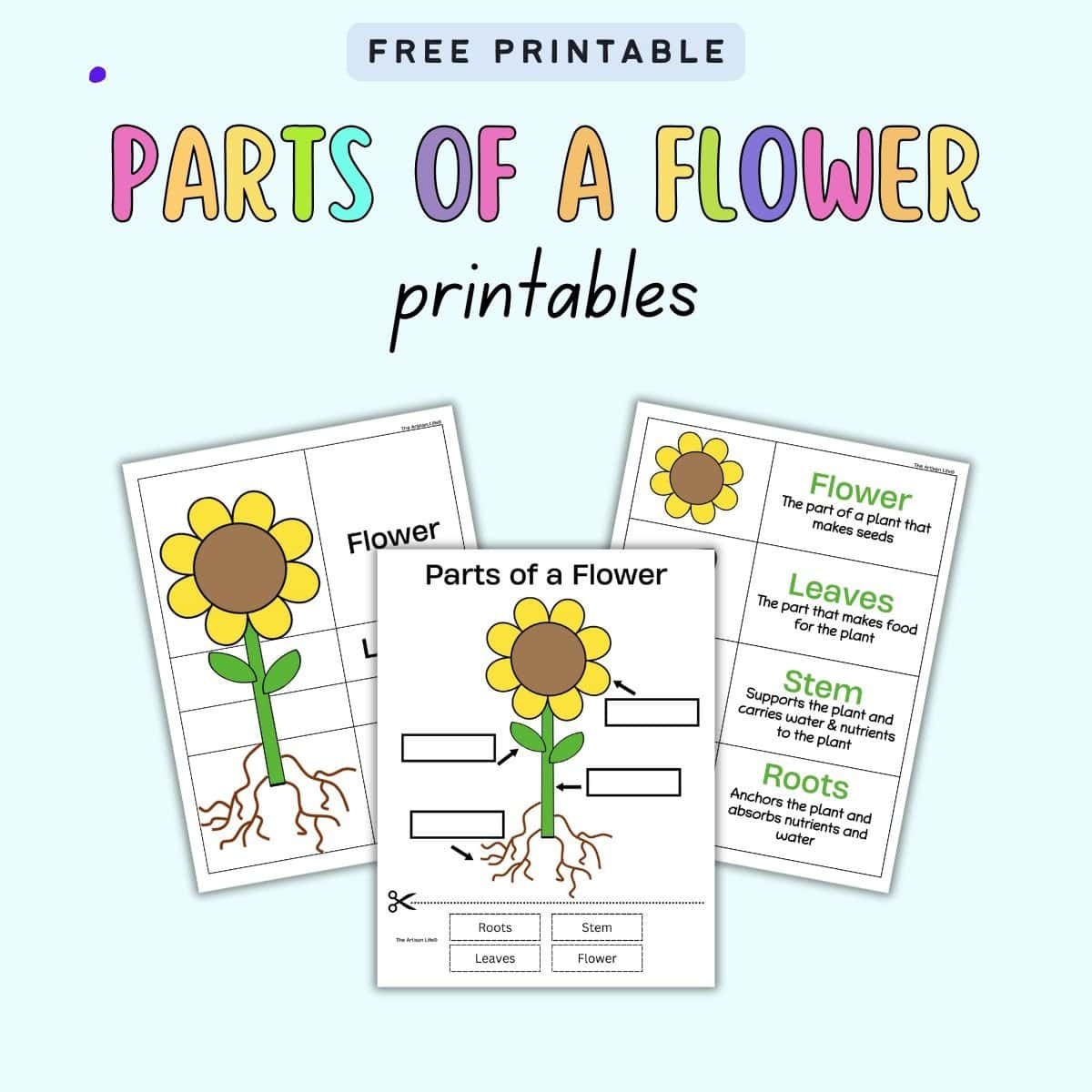 Free Printable Stem Worksheets Free Printable Stem Worksheets
