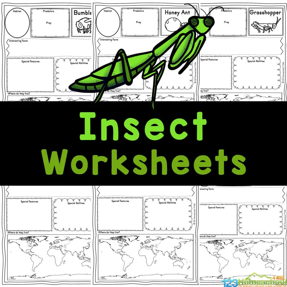 FREE Printable Insect Worksheets For Kids FREE Printable Insect Worksheets For Kids