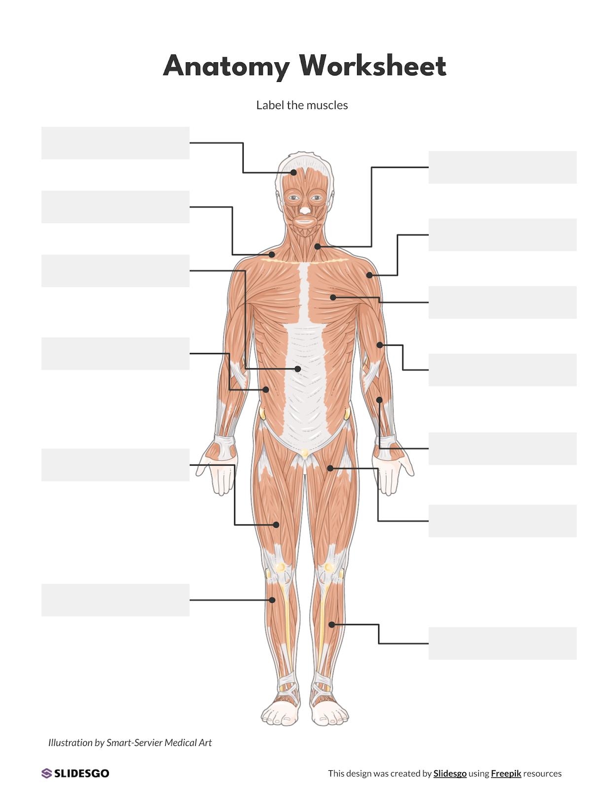 Printable Body Regions Labeling Worksheet