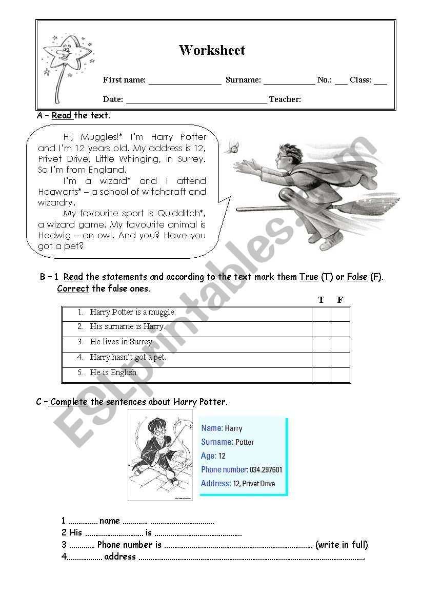 Harry Potter ESL Worksheet By Marmachado
