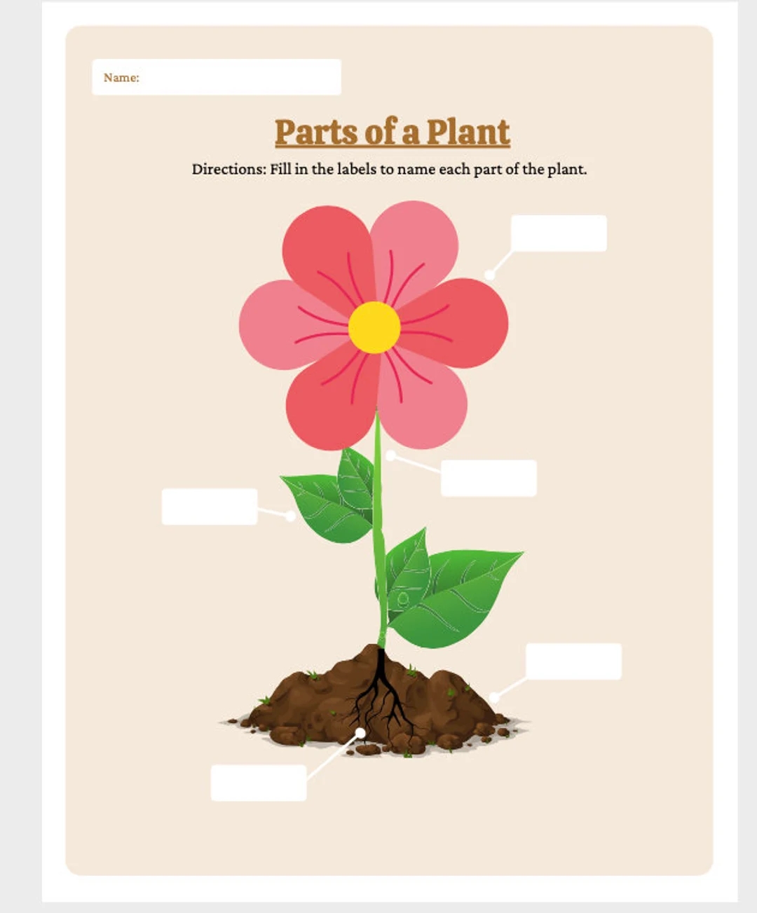 Parts Of A Plant Worksheet Parts Of The Plant Labeling Activity Summer School Resources Home School Plant Activity Etsy
