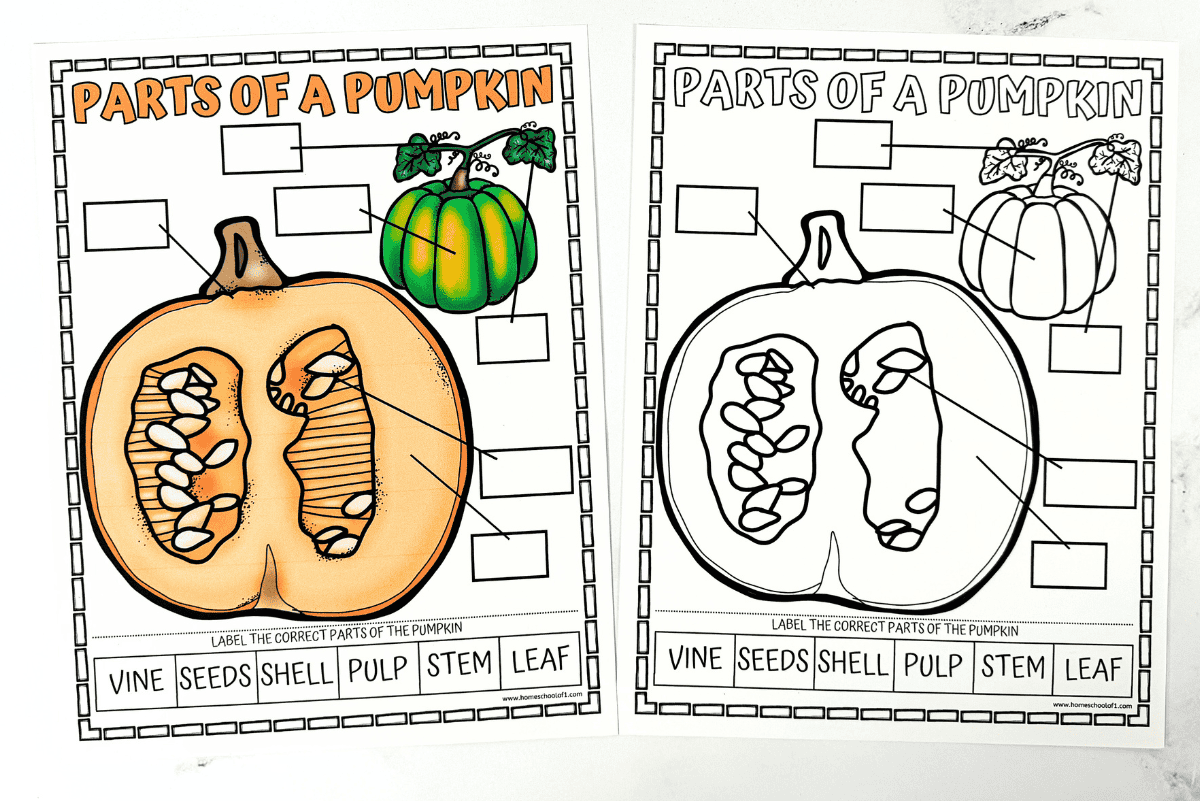 Free Printable Parts Of A Pumpkin Worksheet