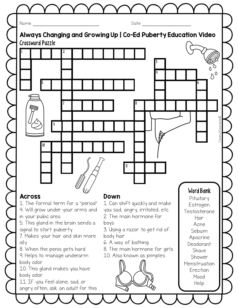 Puberty Lesson And Pamphlet Bundle Made By Teachers Worksheets Library