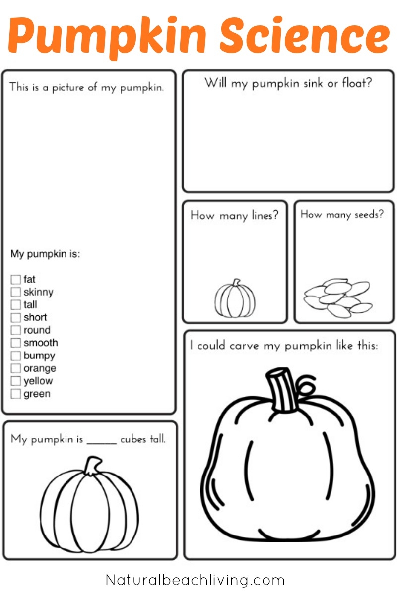 Free Printable Pumpkin Worksheets
