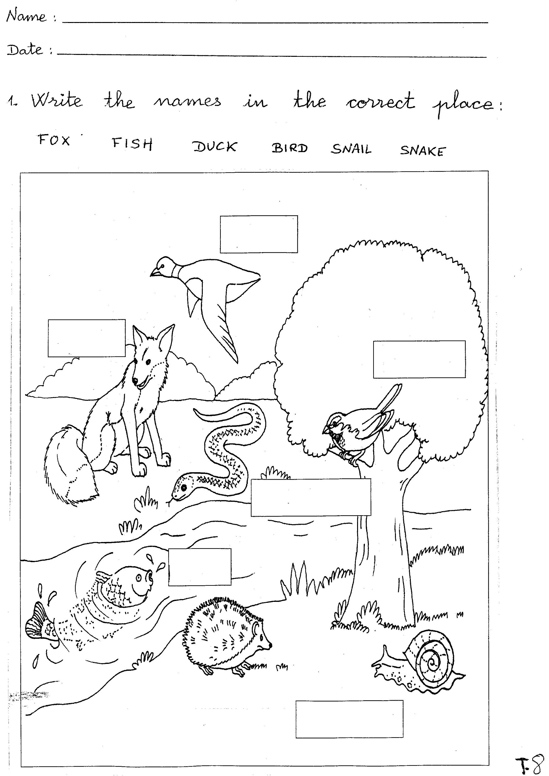 Science Worksheets Free Printable Science Worksheets For Kids Worksheets Library