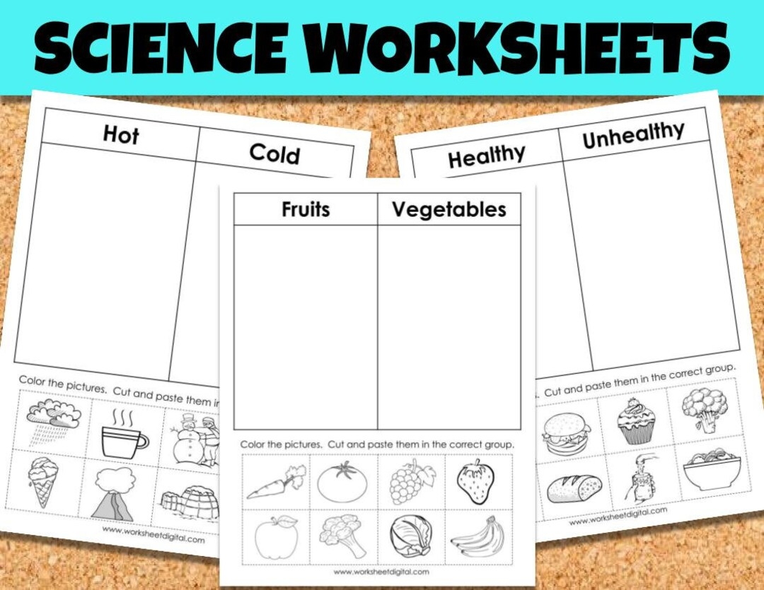 Science Worksheets Sorting Worksheets Kindergarten Primary School Science Worksheets Homeschool Etsy Science Worksheets Sorting Worksheets Kindergarten Primary School Science Worksheets Homeschool Etsy