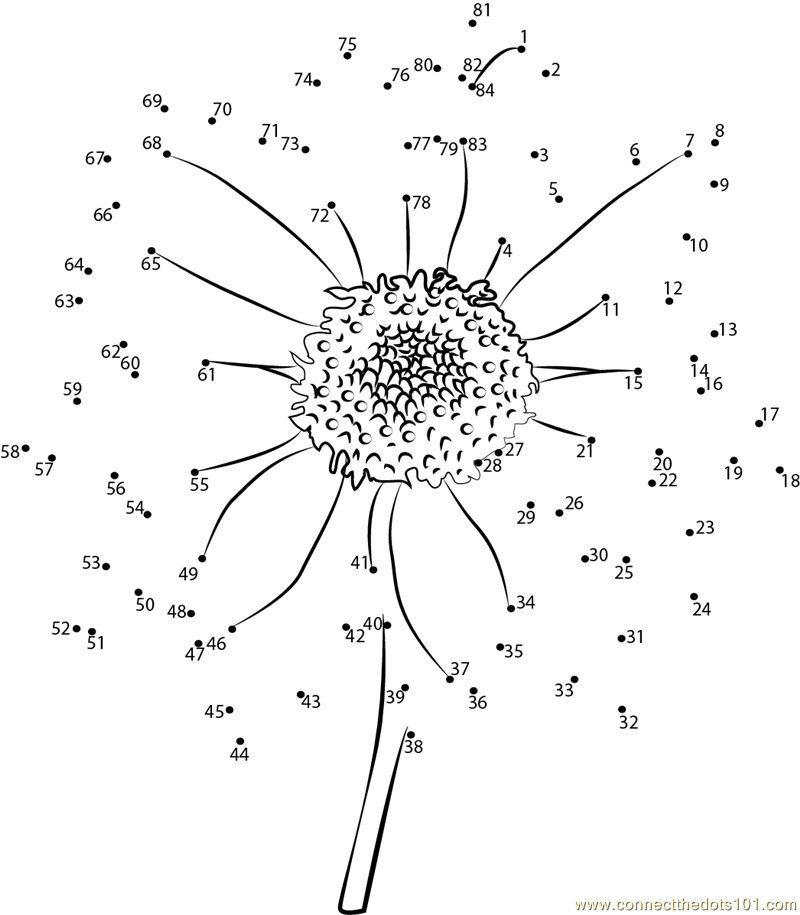 Flower Worksheet Printable