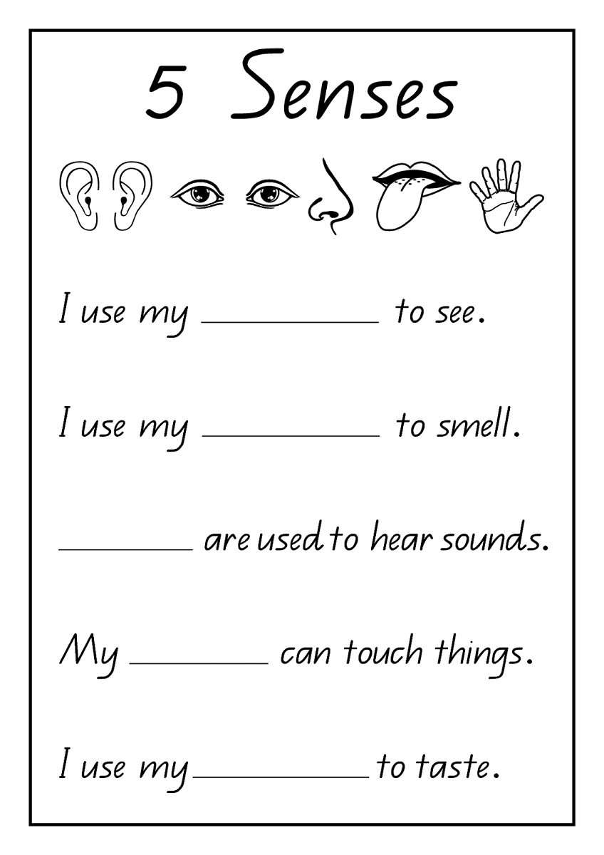 Science Worksheets Printable Science Worksheets Printable